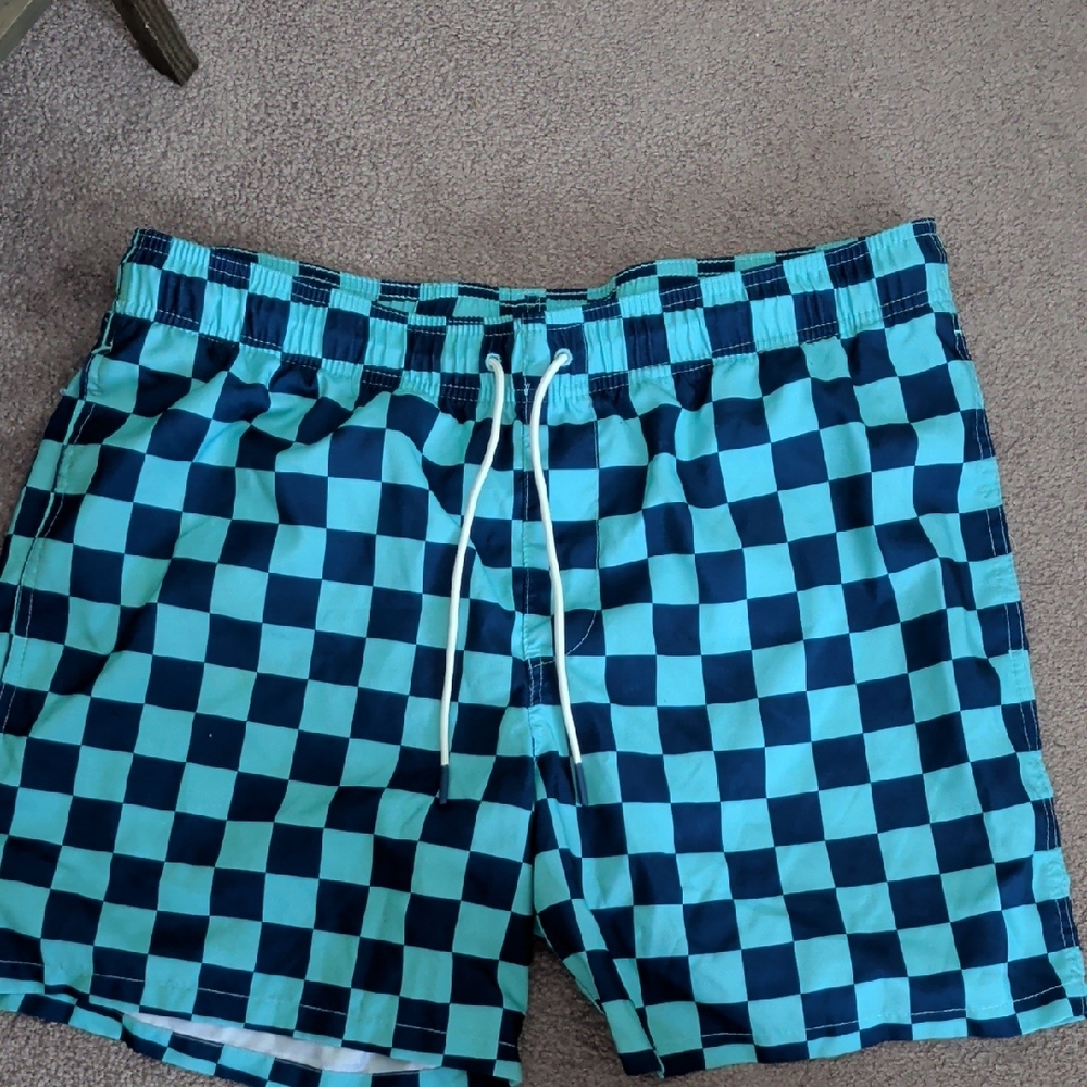 Goodfellow & Co Aqua and Navy Checkered Swim Trunks